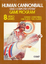 Human Cannonball (Atari Vault 2600)